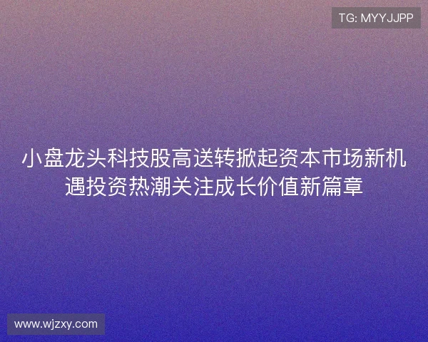 小盘龙头科技股高送转掀起资本市场新机遇投资热潮关注成长价值新篇章